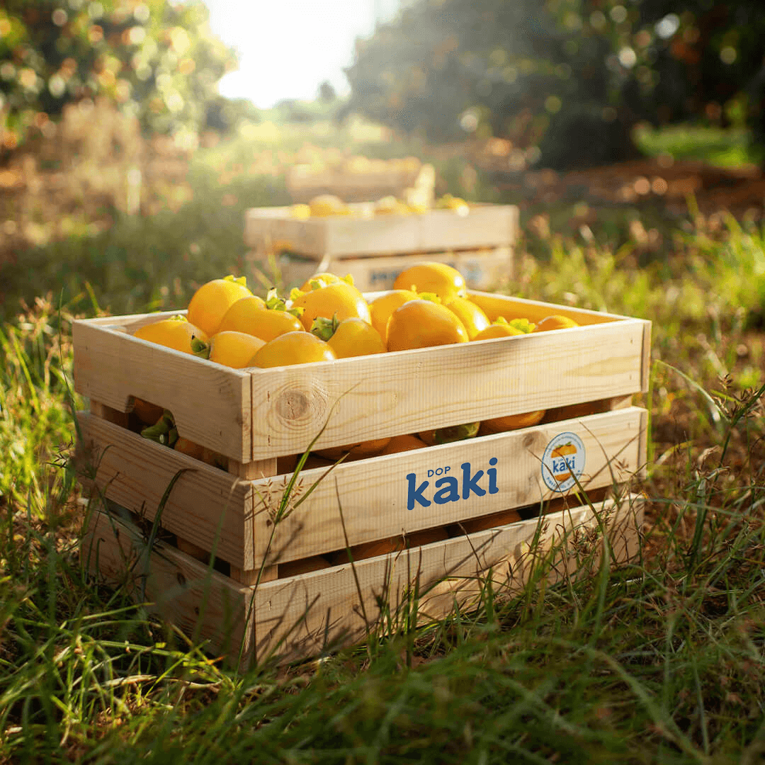 Caixa com Kaki Espanhol